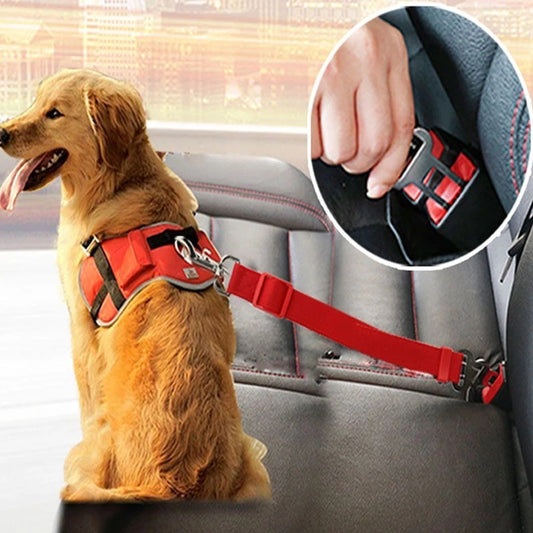 Ceinture de sécurité réglable pour chien/chat