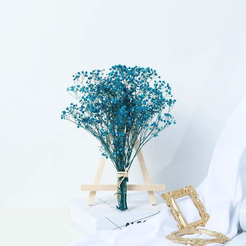 Bouquet de gypsophile séchée – Fleurs naturelles pour décoration élégante