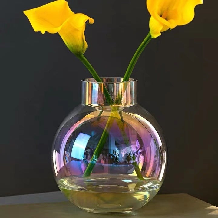 Vase en verre transparent créatif – Vase hydroponique pour fleurs fraîches ou séchées, décoration moderne pour salon ou bureau