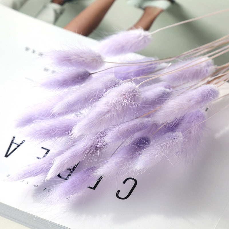 Branche d’herbe de queue de lapin séchée – Bouquet déco automnal aux multiples couleurs