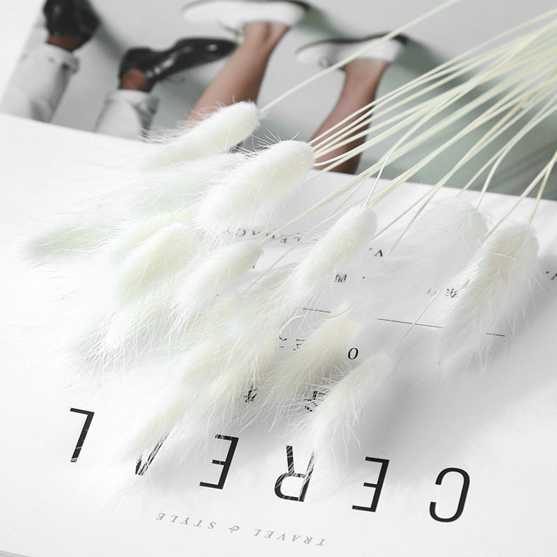 Branche d’herbe de queue de lapin séchée – Bouquet déco automnal aux multiples couleurs