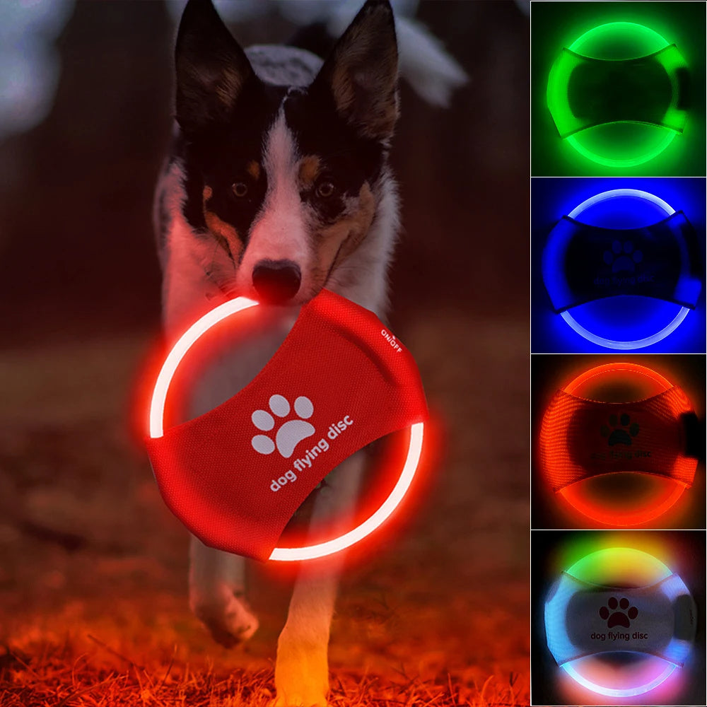 Disque Volant Lumineux pour Chien – Jouet Interactif LED pour Jeux Nocturnes