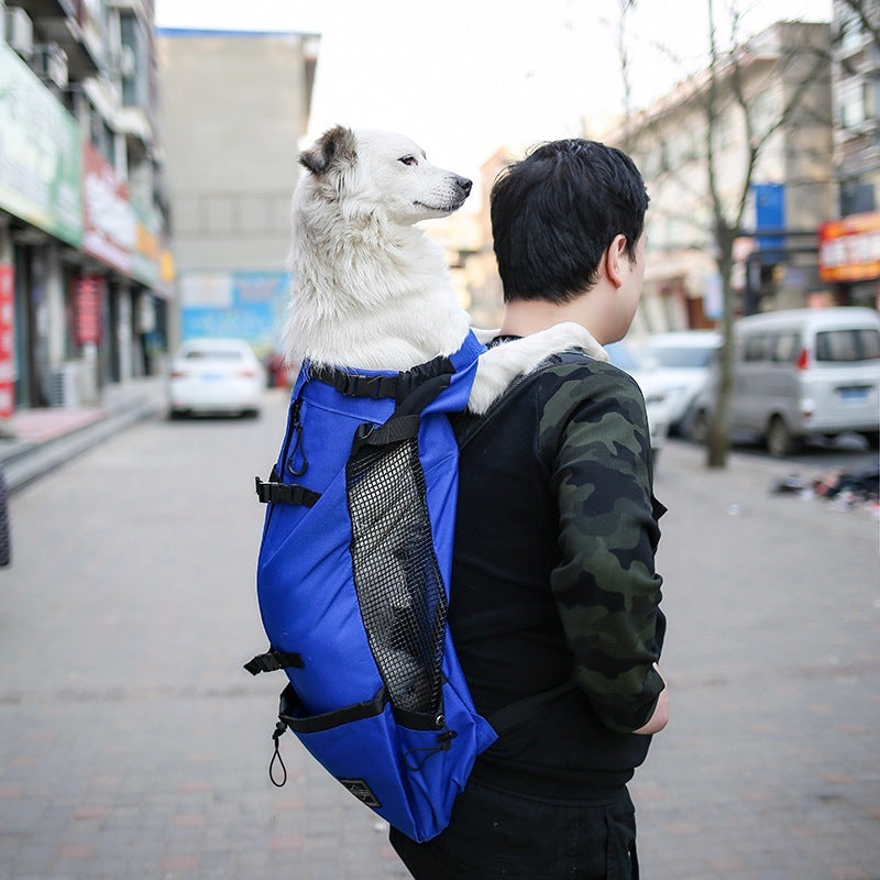 Sac à Dos pour Chien – Transport Portable et Confortable