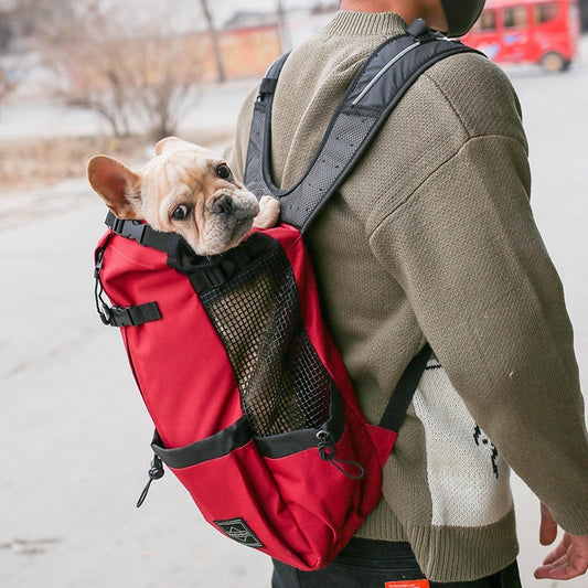 Sac à Dos pour Chien – Transport Portable et Confortable