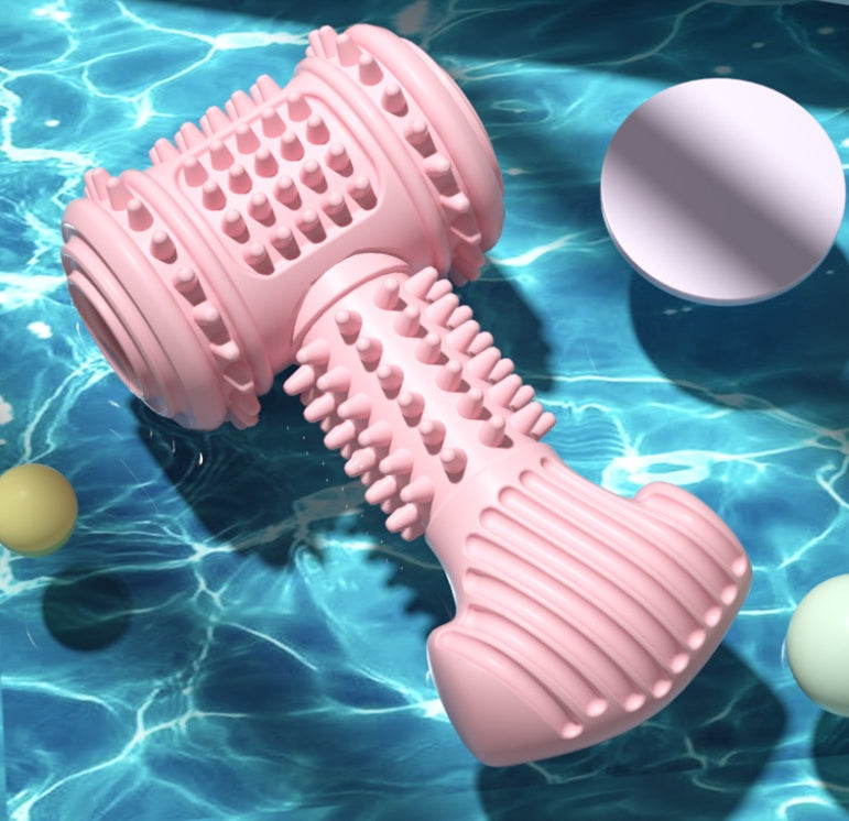 Jouet à Mâcher Pour Chien – TPR Indestructible pour Hygiène Dentaire