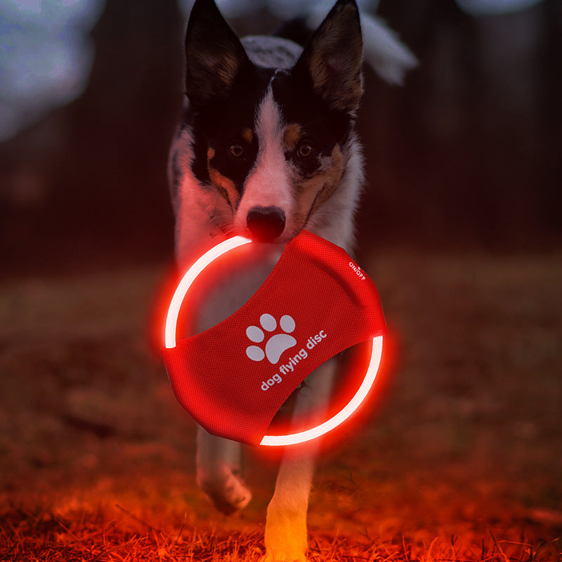 Disque Volant Lumineux pour Chien – Jouet Interactif LED pour Jeux Nocturnes
