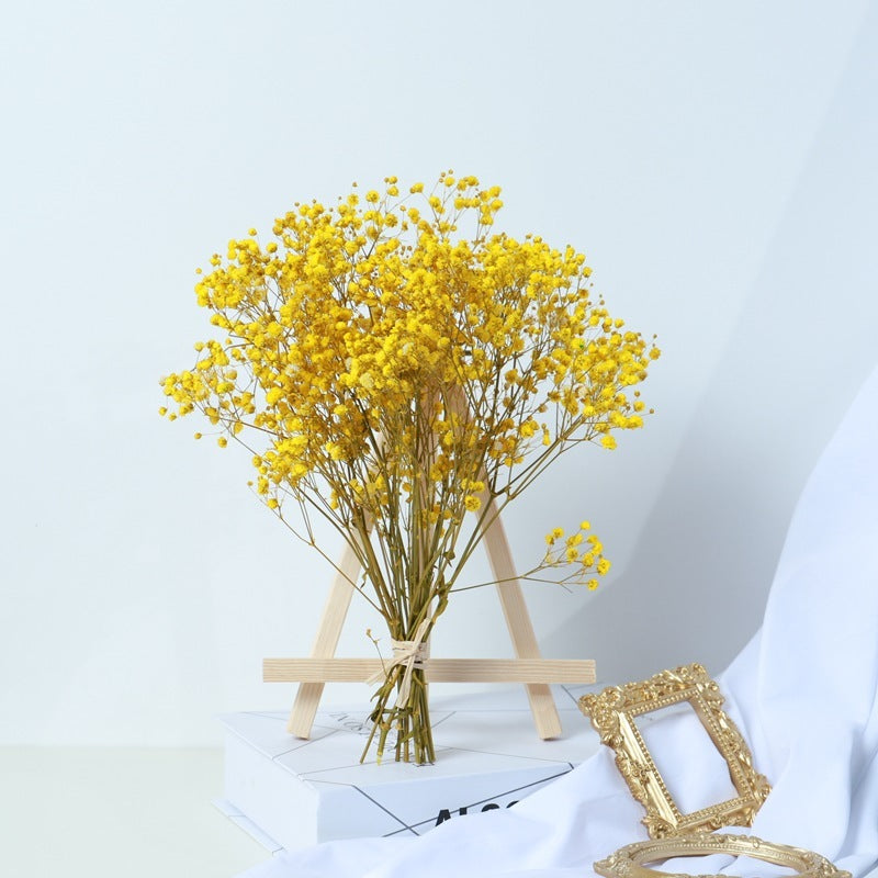 Bouquet de gypsophile séchée – Fleurs naturelles pour décoration élégante