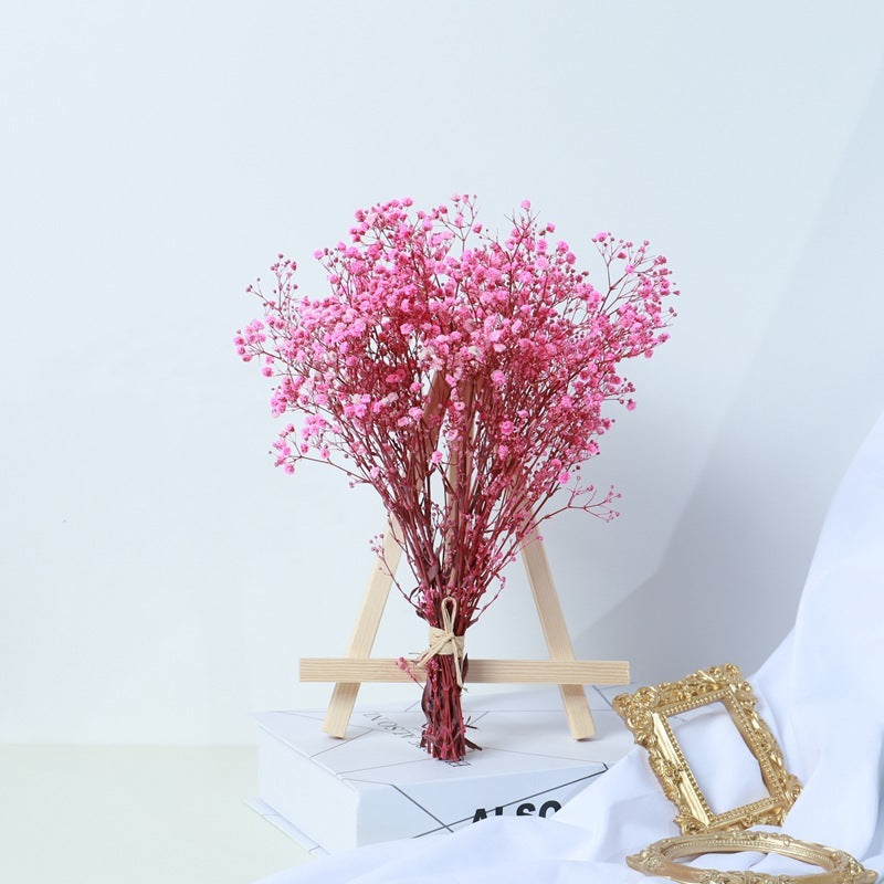 Bouquet de gypsophile séchée – Fleurs naturelles pour décoration élégante
