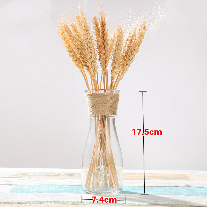 Vase en verre de style européen pour la maison – Ornement décoratif moderne pour salon ou bureau